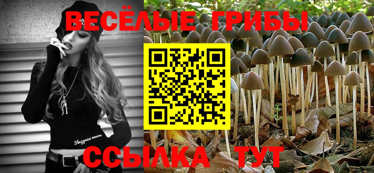 Сланцы  Псилоцибиновые грибы GOLDEN TEACHER  Вход с VPN 